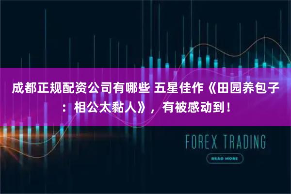 成都正规配资公司有哪些 五星佳作《田园养包子：相公太黏人》，有被感动到！