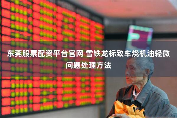 东莞股票配资平台官网 雪铁龙标致车烧机油轻微问题处理方法